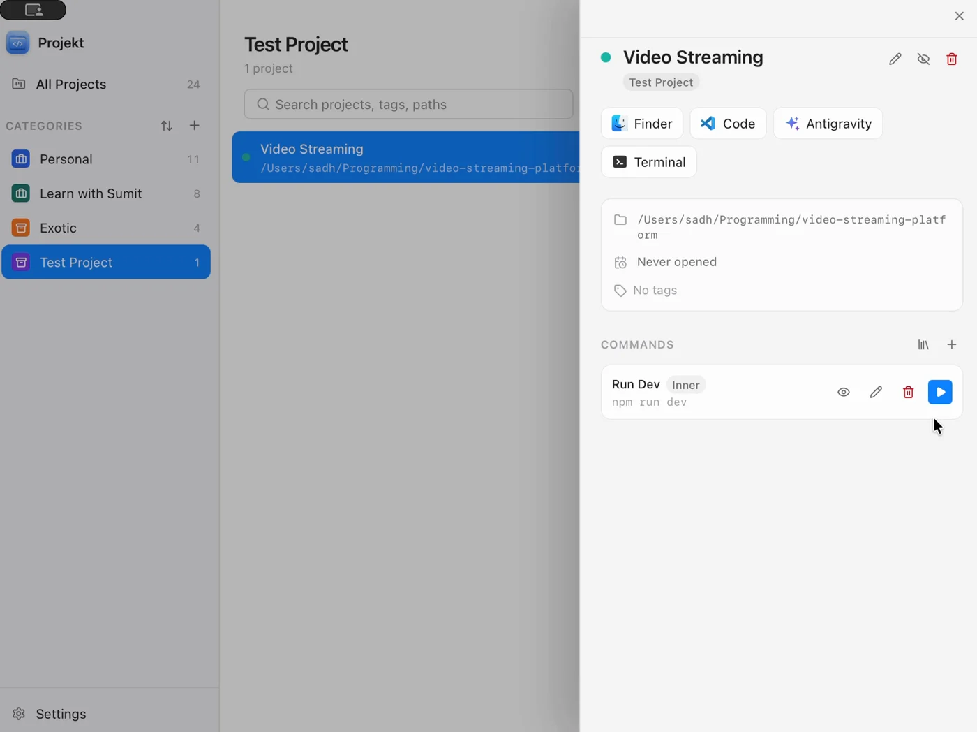 Project panel with a saved Run Dev command and its run button